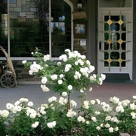Beth-steuer Hotel Bruttig-Fankel